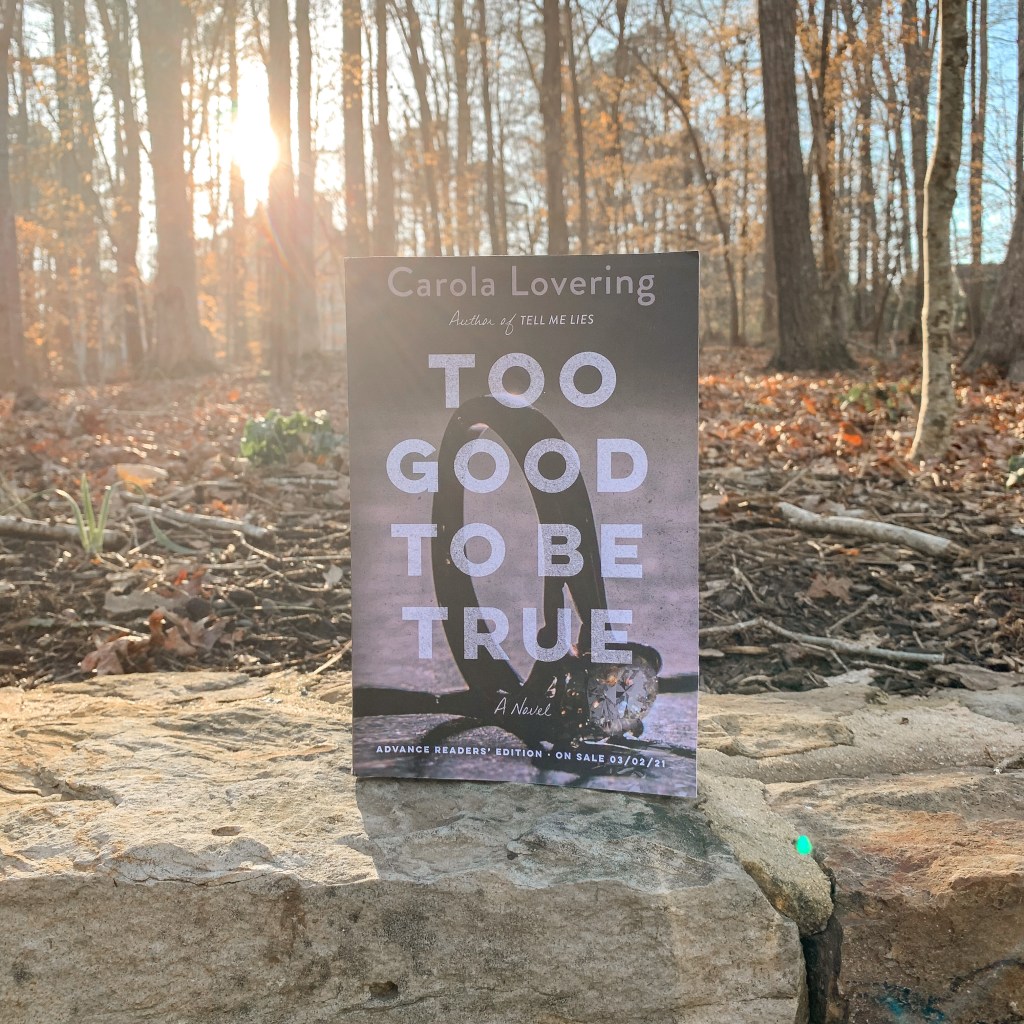 Photo of Too Good to be True by Carola Lovering paperback with sunny woods