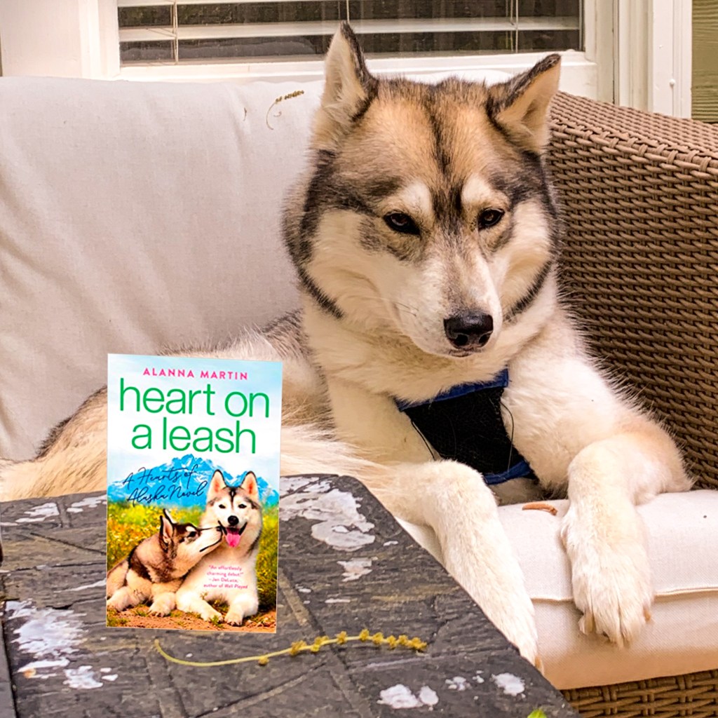Photo of Heart on a Leash novel with a Siberian Husky 
